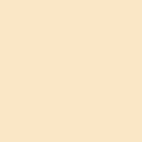 Soltis 622-50539 Opaque 622 Cuarzo Black Out S2